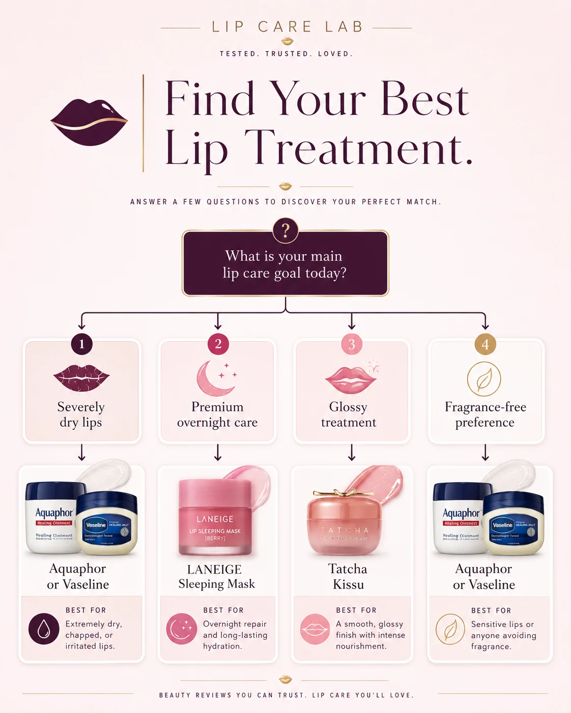Decision guide matching lip-care goals with product types